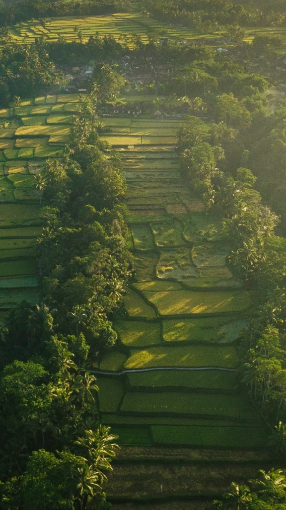 Which capital, located on the island of Java, is the most populous in Indonesia?
