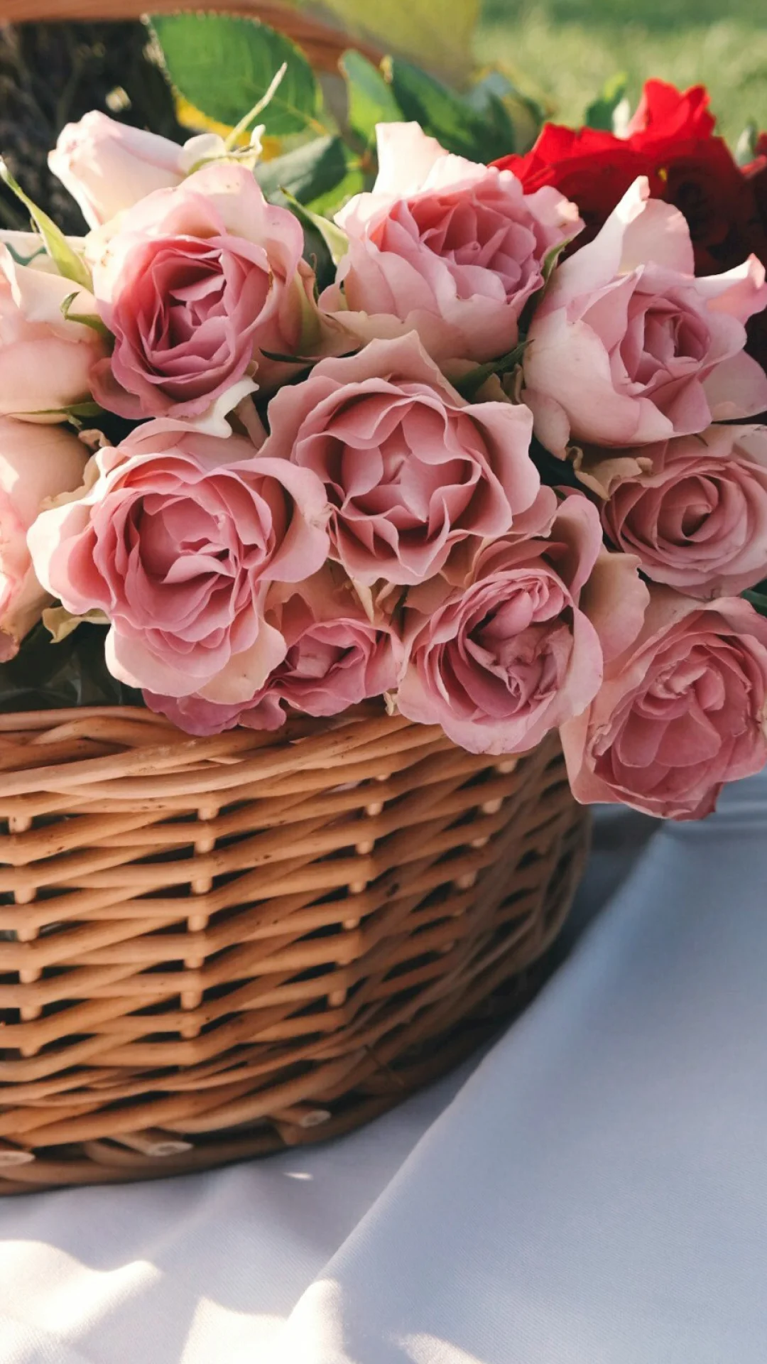 Featured Image