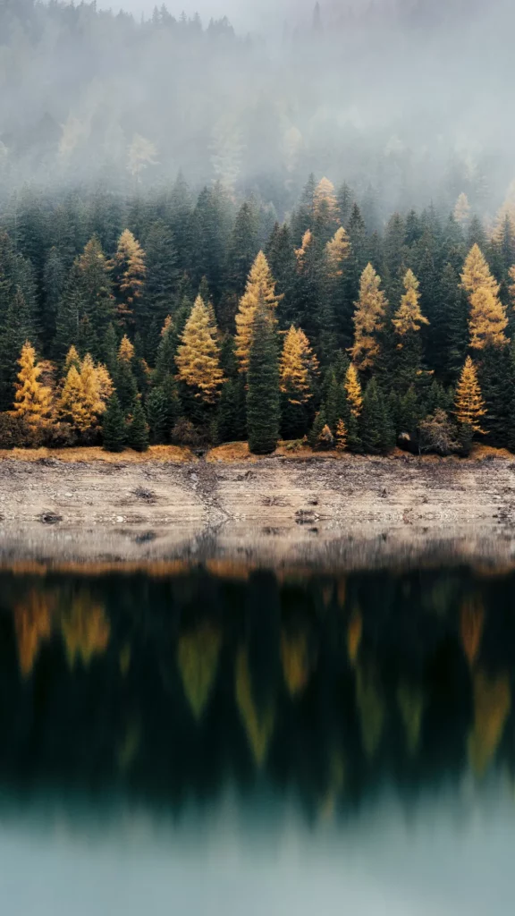 Who composed “The Four Seasons,” a famous set of violin concertos?