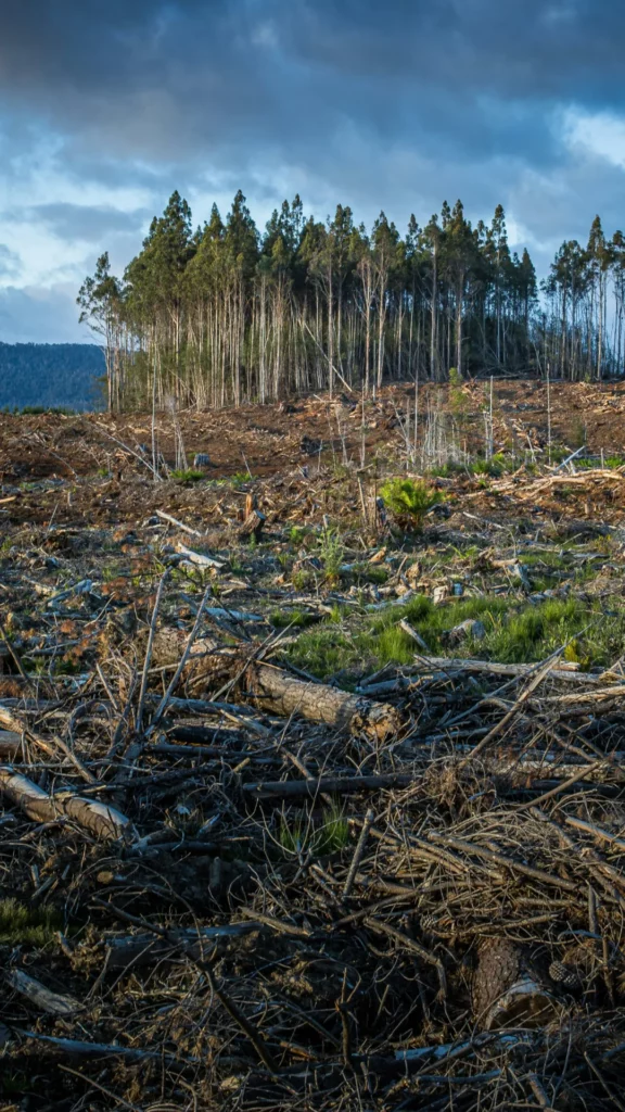 Quel phénomène est à la fois une cause et une conséquence du changement climatique, contribuant à un cercle vicieux ?