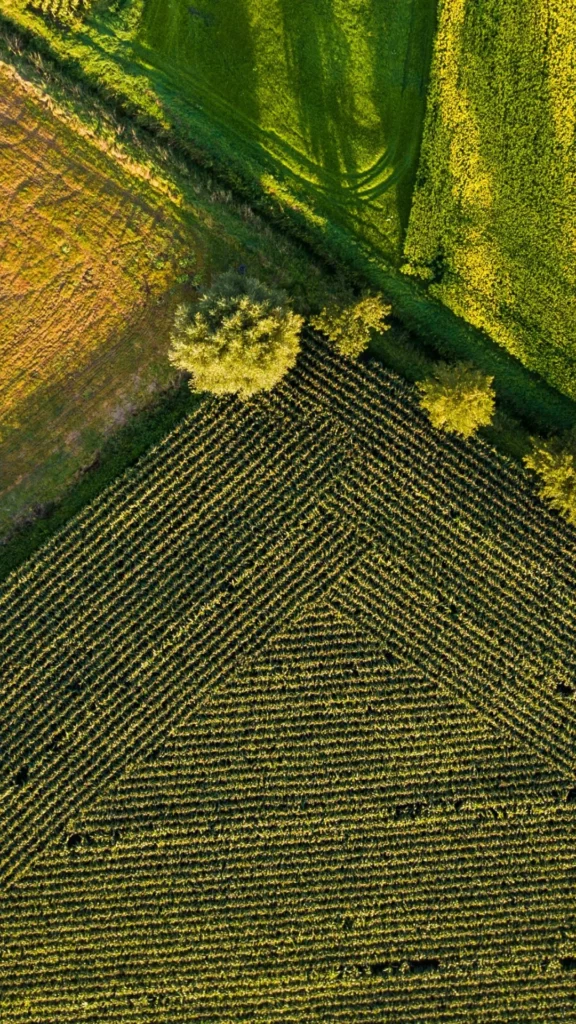 Pourquoi la rotation des cultures est-elle importante en agriculture durable ?