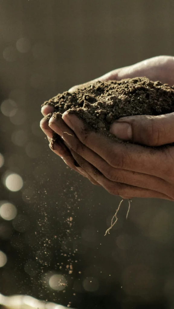 What is the main benefit of organic farming on the environment?