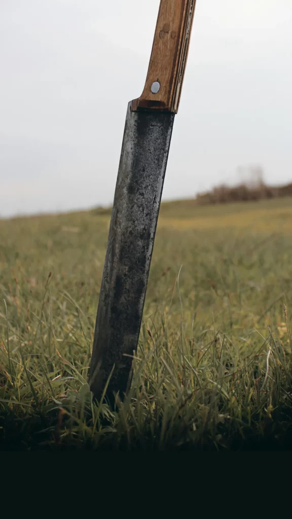 Quel fruit a une coquille si dure qu&rsquo;elle est parfois ouverte à la machette ?