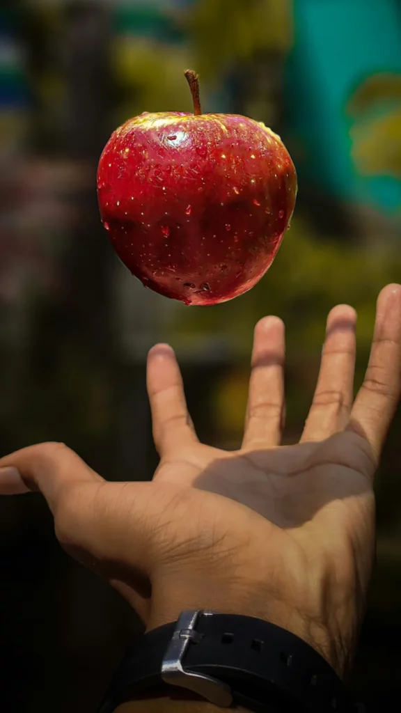 Qui a formulé la loi de la gravitation universelle ?